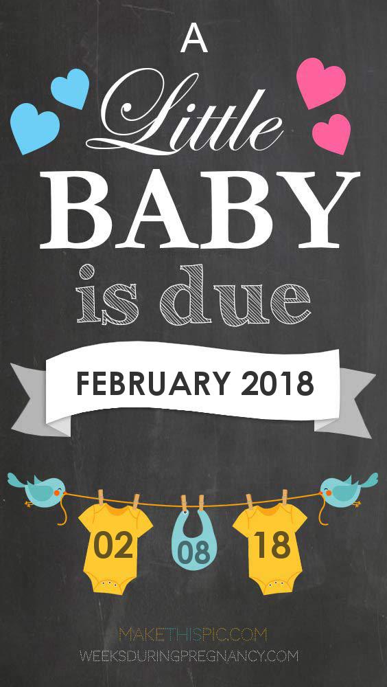 Due Date: February 8 - Announcement Image