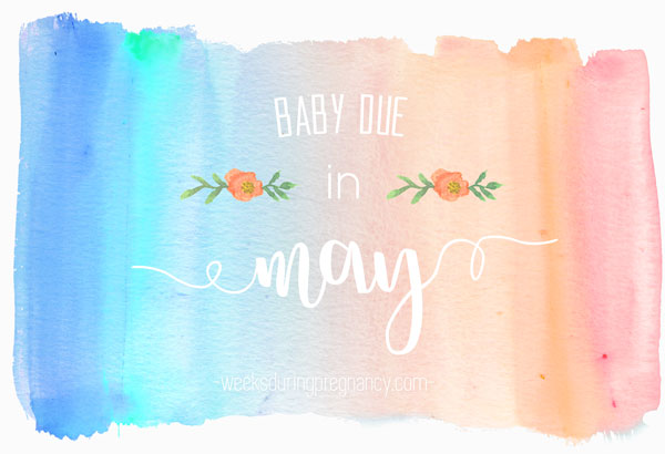 Due Date in May - Announcement Image