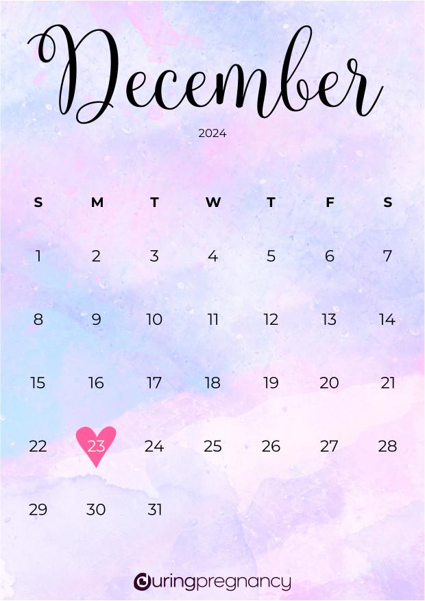 Due date calendarfor December 23, 2024