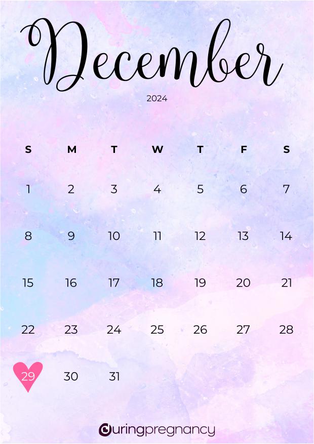 Due date calendarfor December 29, 2024