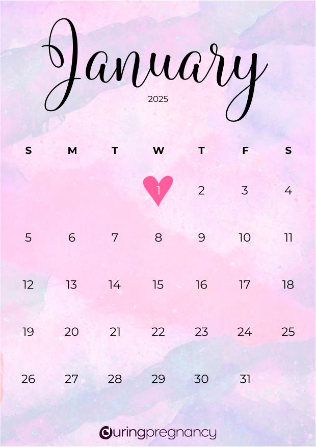 Due date calendarfor January 1, 2025