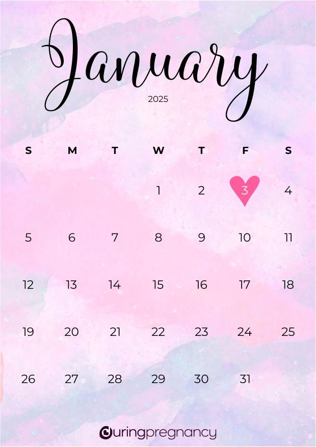 Due date calendarfor January 3, 2025