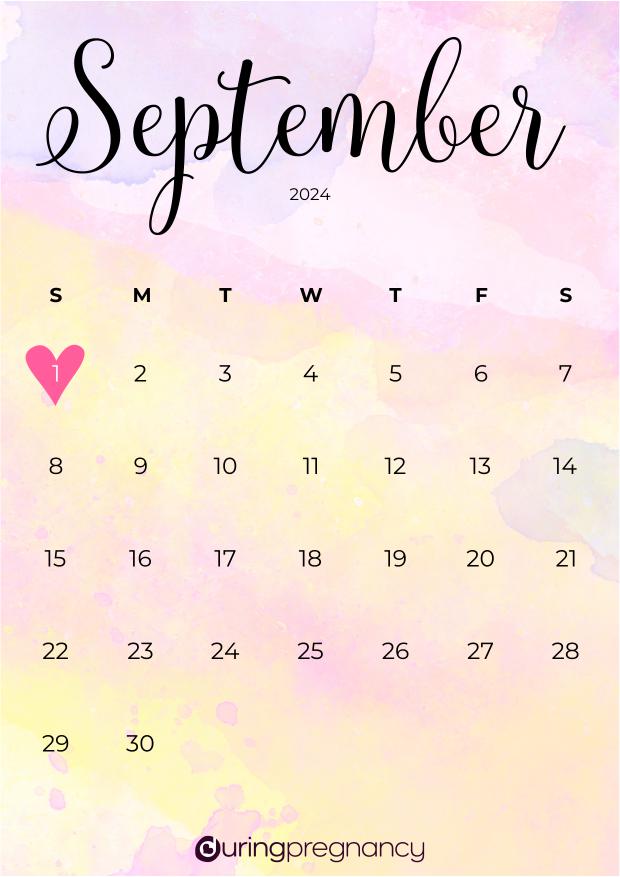 Due date calendarfor September 1, 2024