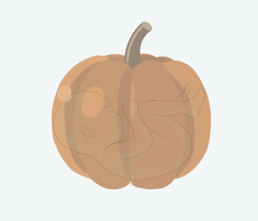 Size of baby: Pumpkin